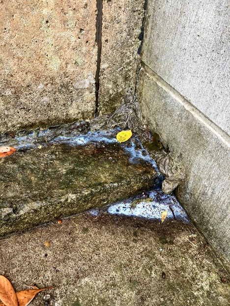 土留め　水漏れ